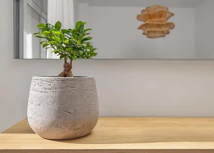 Διαμέρισμα Rhodes Center Santa Maria