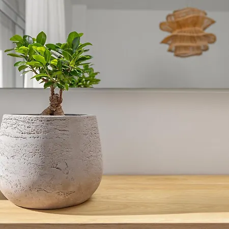 Daire Rhodes Center Santa Maria